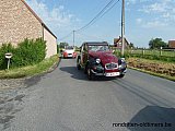 Zandlemig Vlaanderen